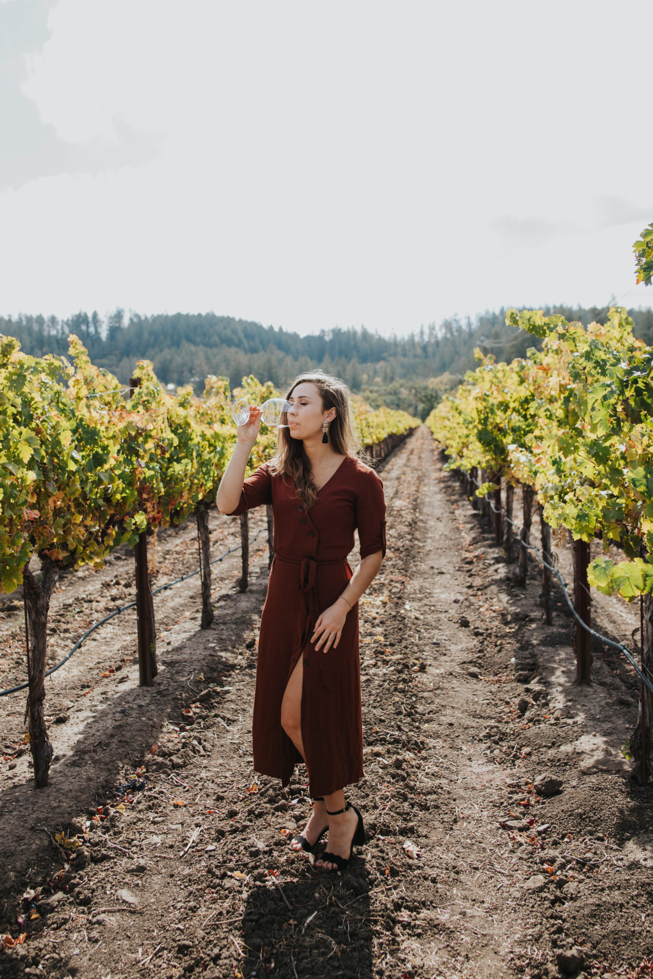 Guide to the Best Wineries in Willamette Valley Wine with Paige