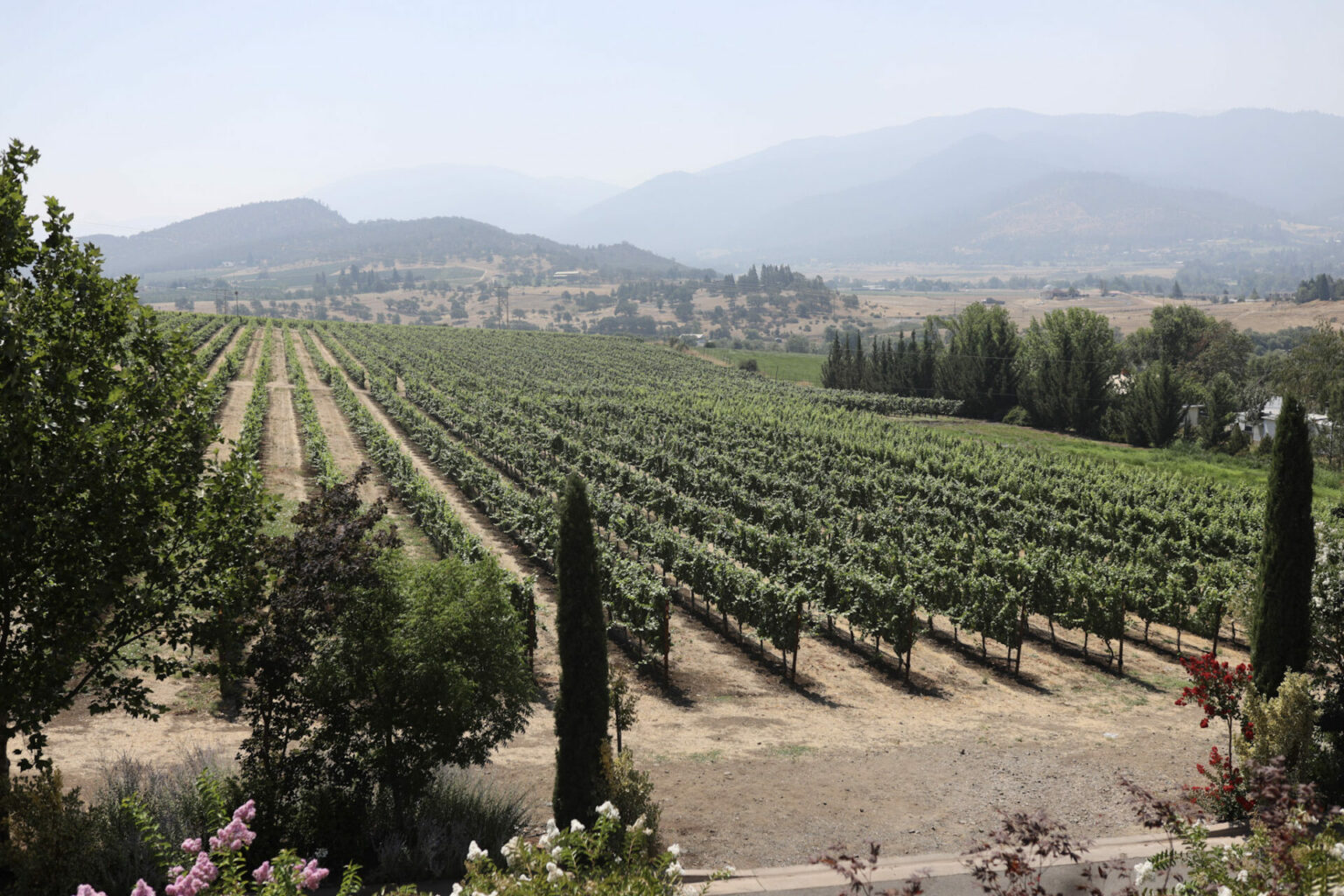 Best Rogue Valley Wineries - Applegate, Ashland, Jacksonville,