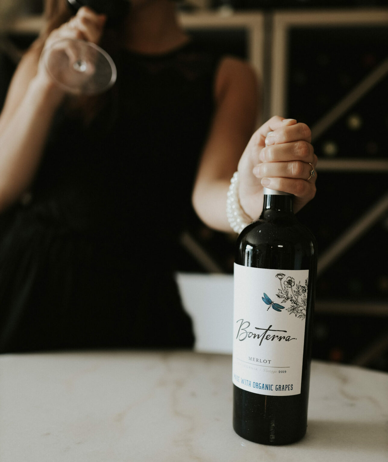 Best Merlot Wines for Any Budget Wine with Paige