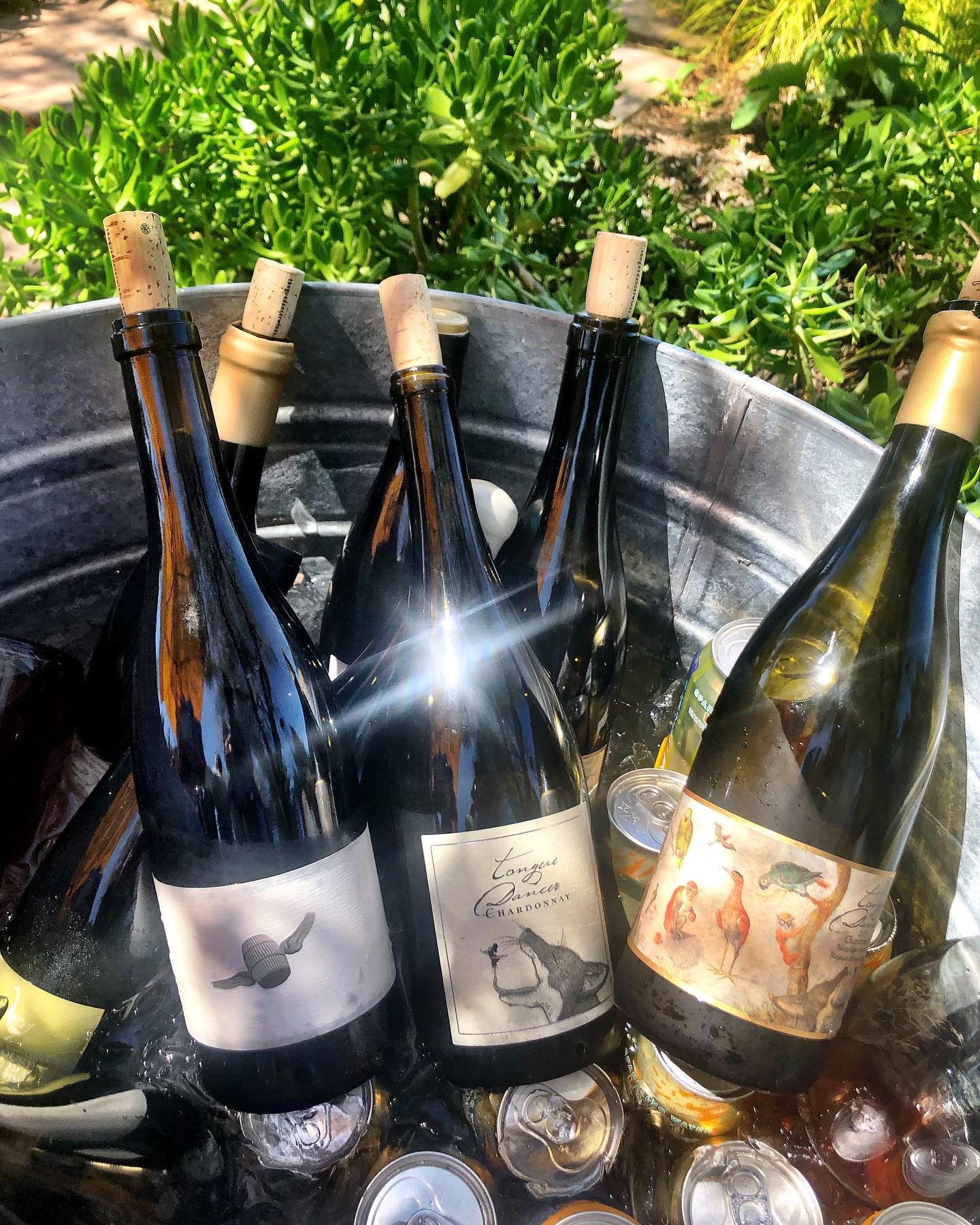 Several bottles of wine sitting in an ice barrel