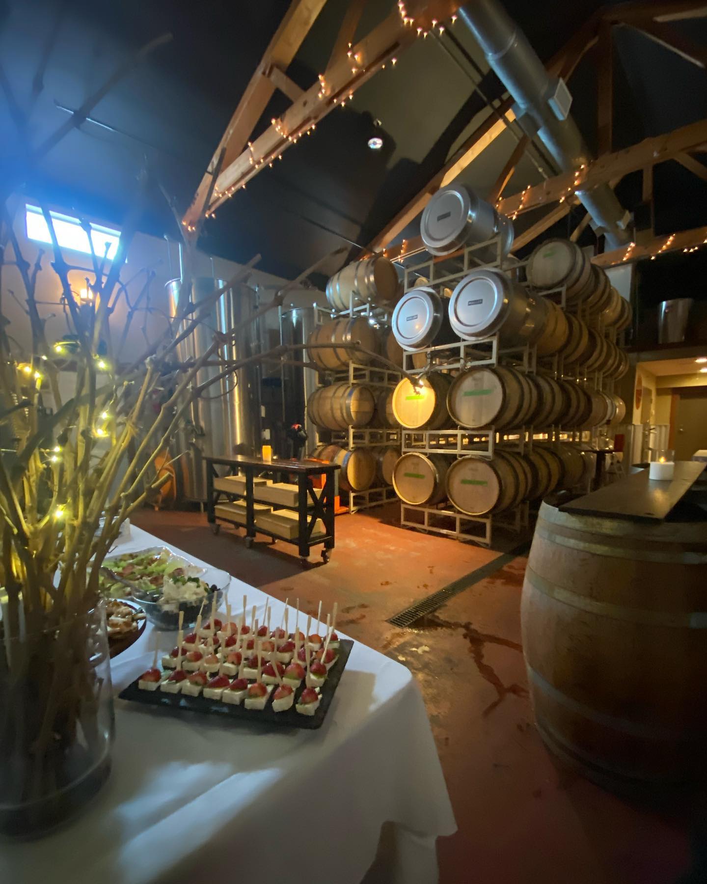 Nefarious wine cellars in Lake Chelan Wineries