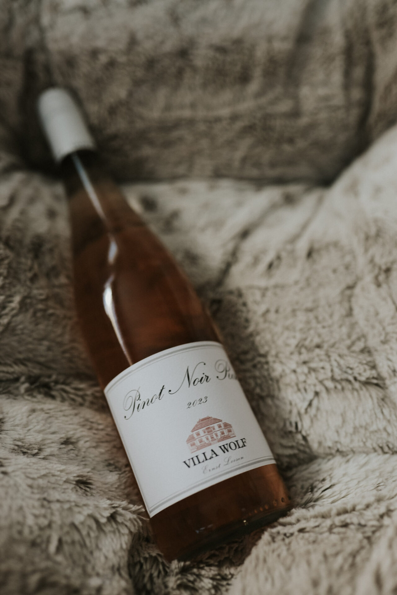 Villa Wolf 2023 Pinot Noir Rosé