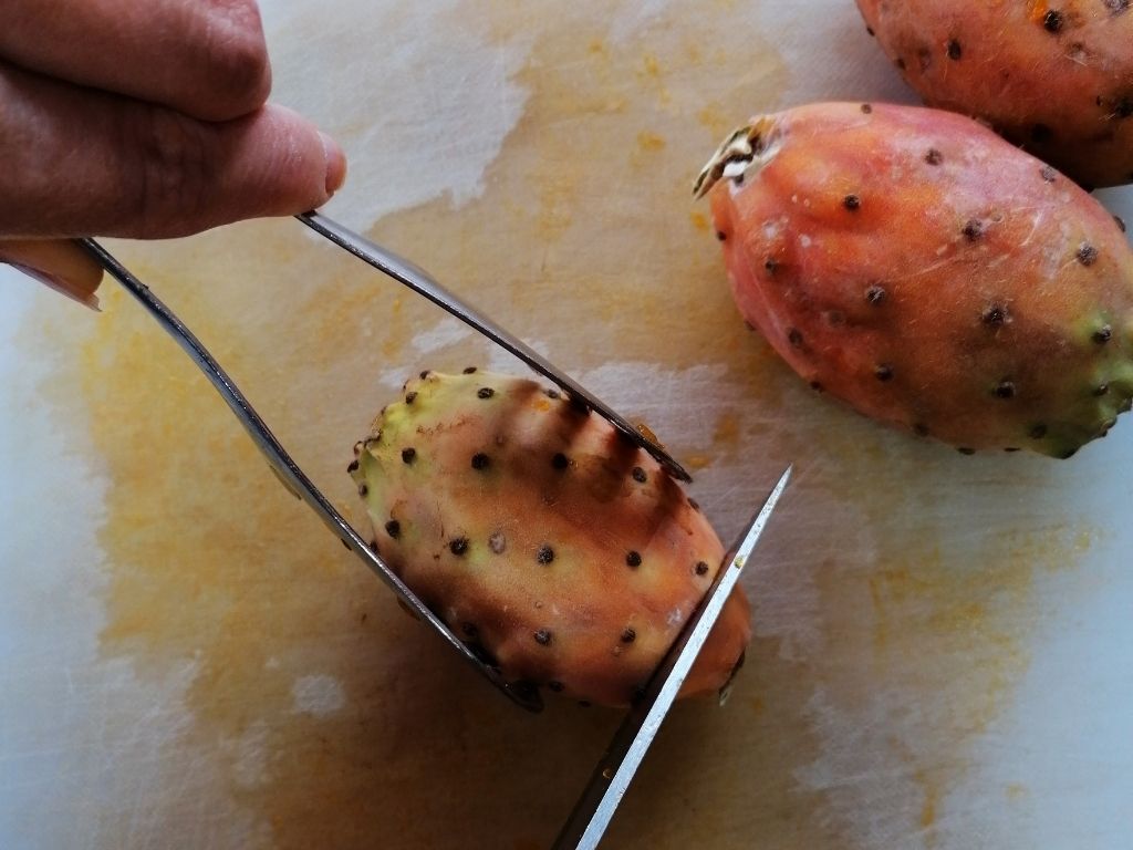 How to cut a prickly pear