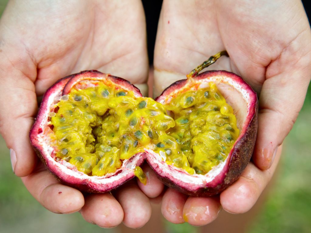 A hand holding passionfruit margarita