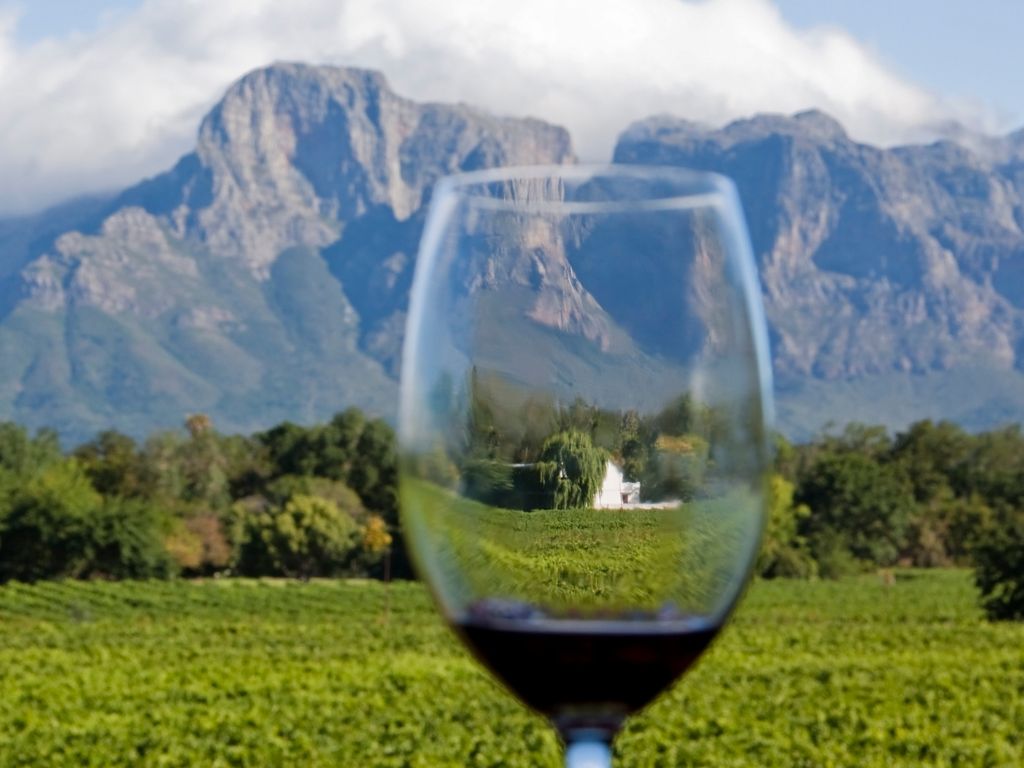 wine glass with red wine in front of south african vineyard with mountains in distance