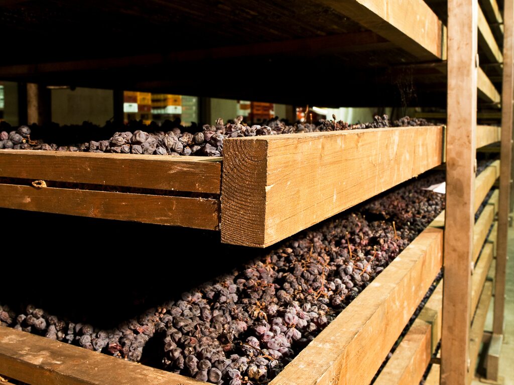 Amarone appassimento Process - Grapes Drying