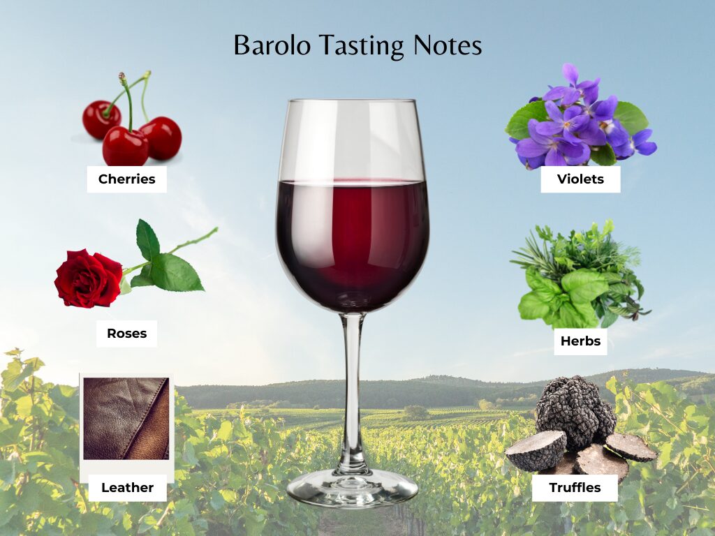 Barolo Wine Tasting Notes