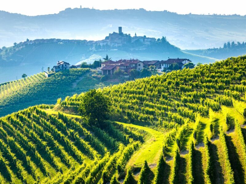 Barolo Wine 101: Your Complete Guide - Wine with Paige