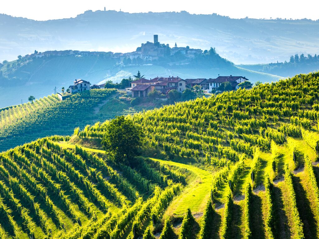 Barolo Wine Region