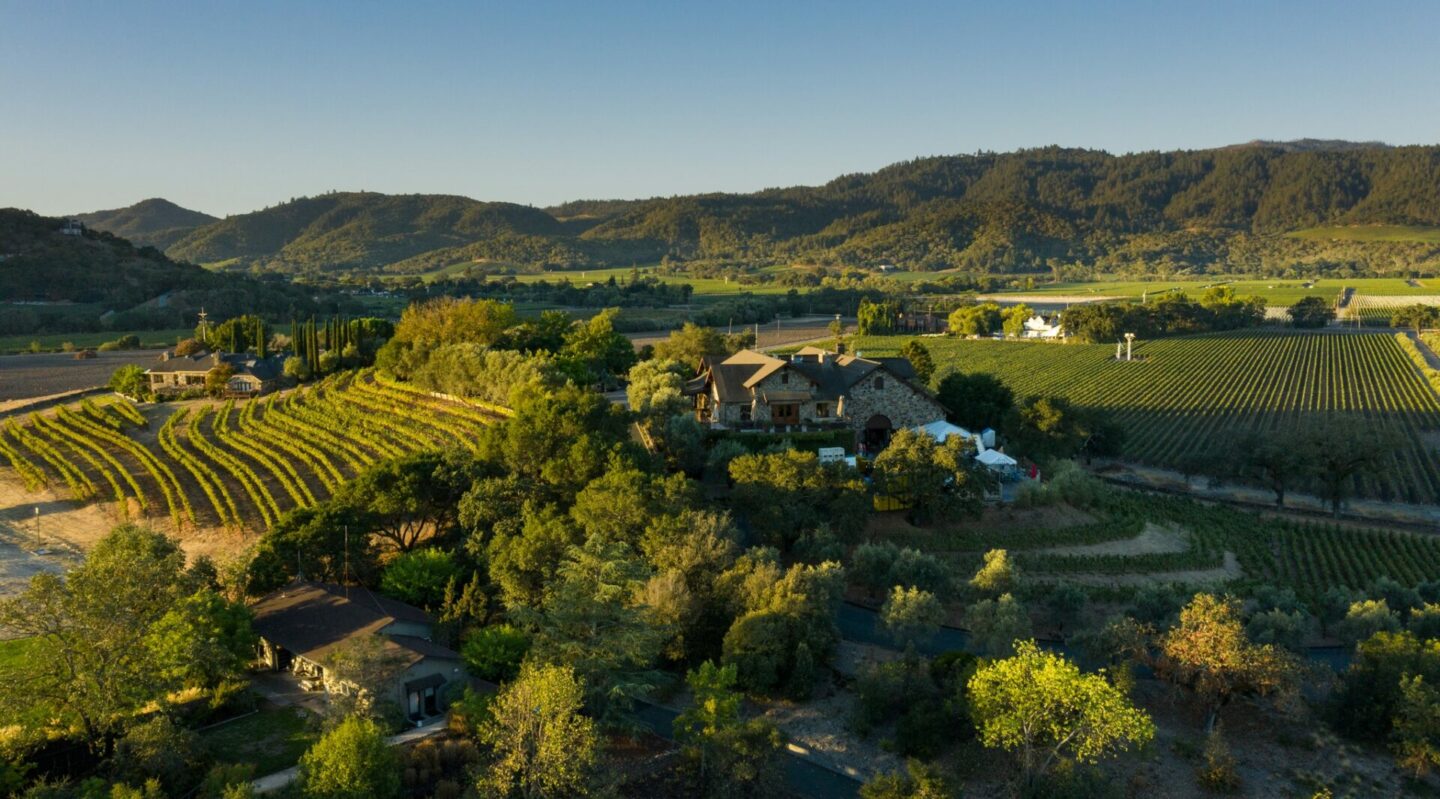 Stone vineyard surrounded by vineyard rows on all sides