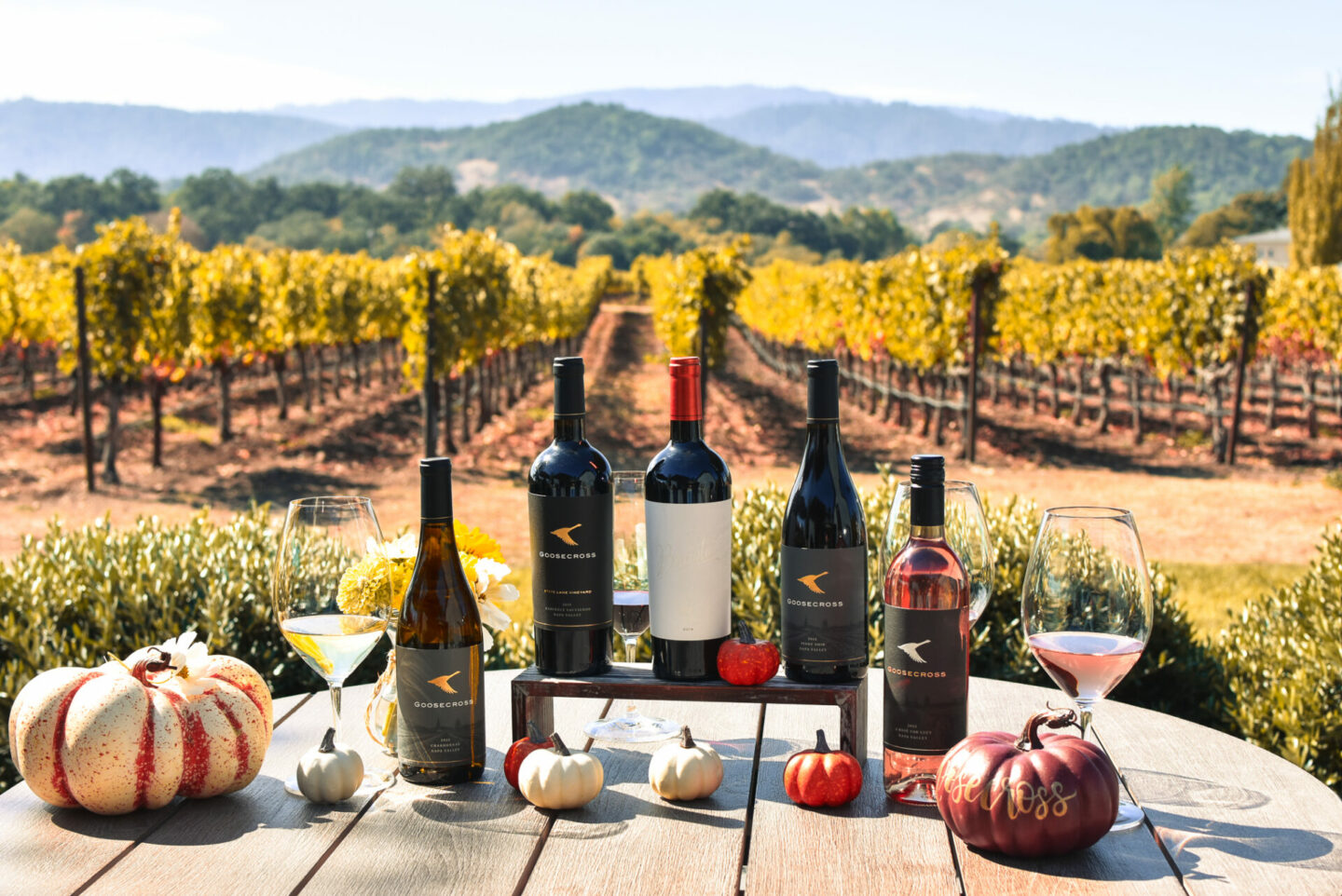 Wines and gourds arranged on picnic table overlooking vineyard rows and mountains in the distance