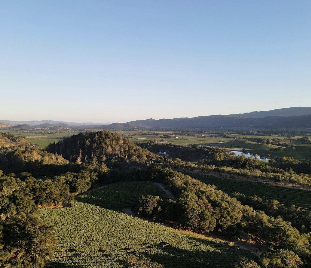 Vineyard views nestled around rolling hills